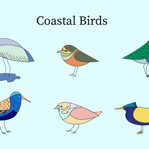 European Coastal Birds cover image.