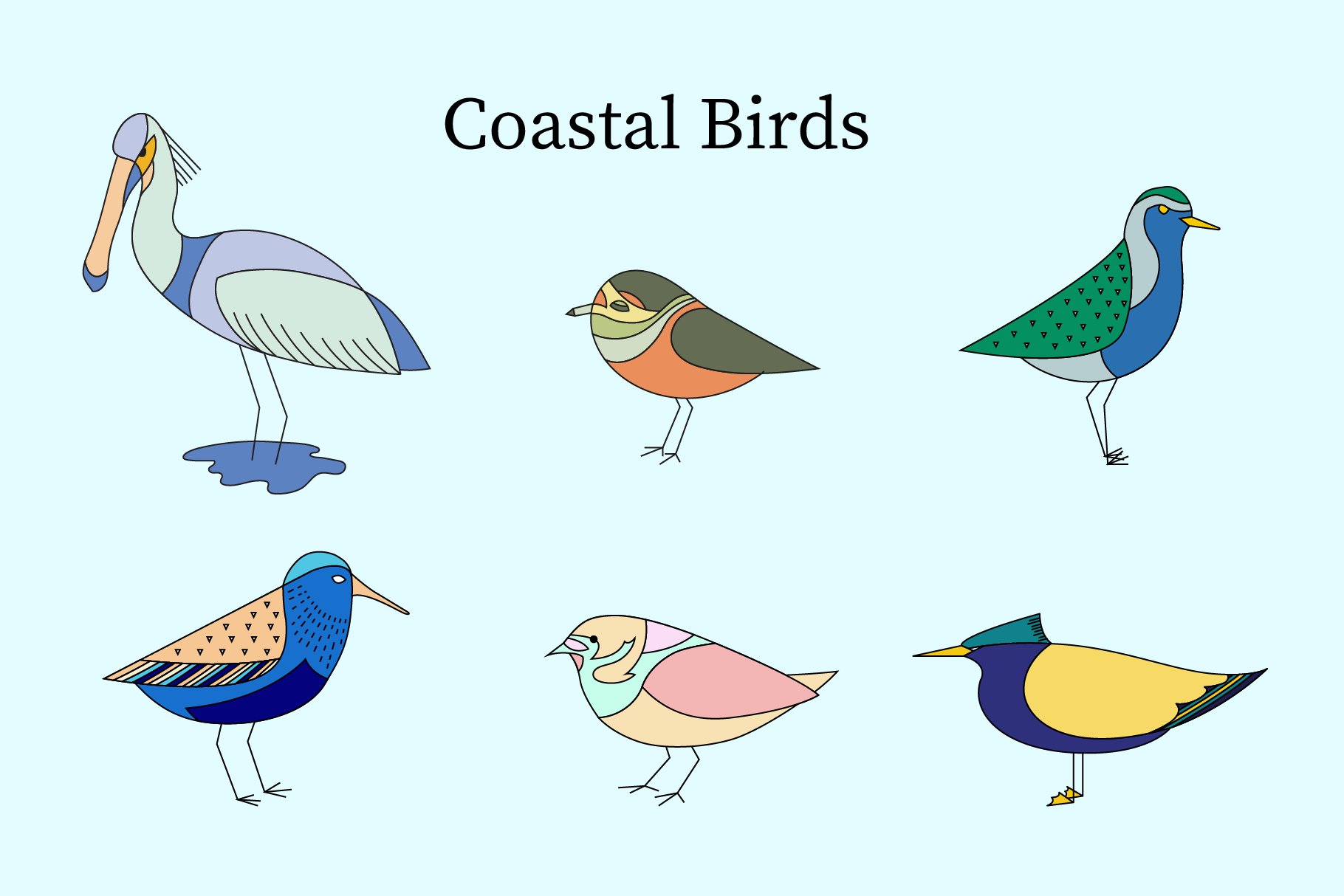 European Coastal Birds cover image.