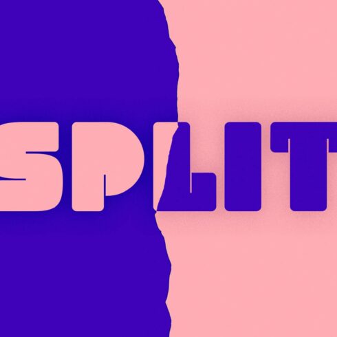 Split Type Family cover image.
