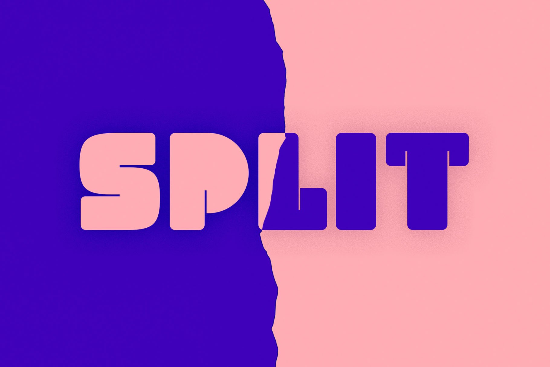Split Type Family cover image.