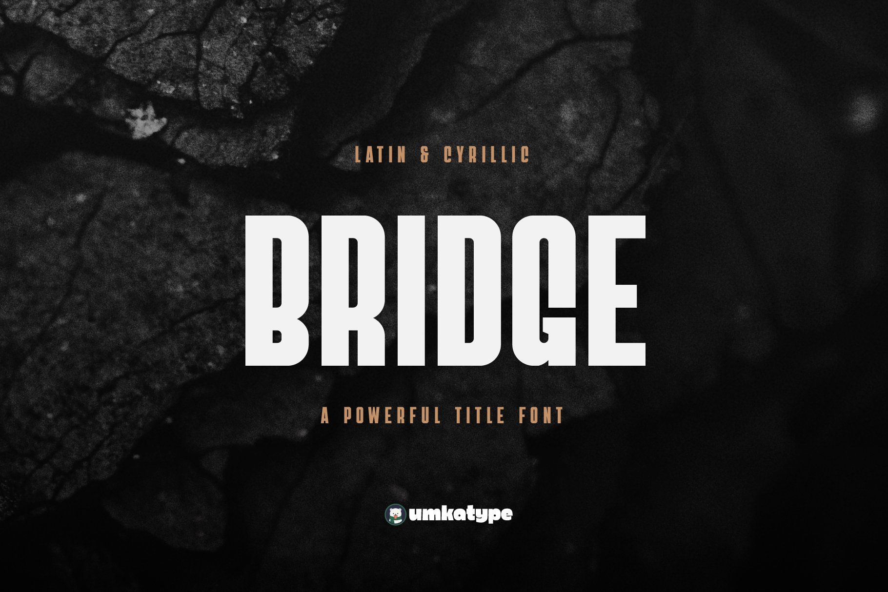 Bridge - Sans Serif Font cover image.