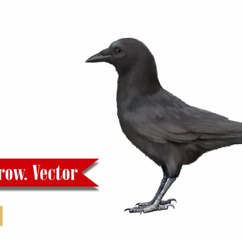 Crow. Side view. Vector cover image.