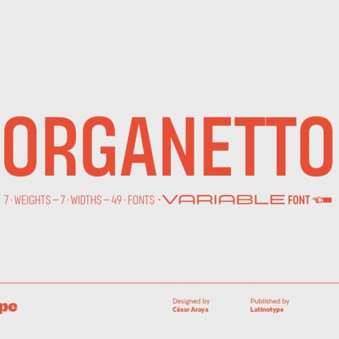 Organetto cover image.