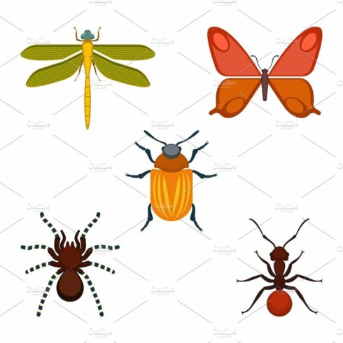 Collection of bugs and insects on vector illustration cover image.