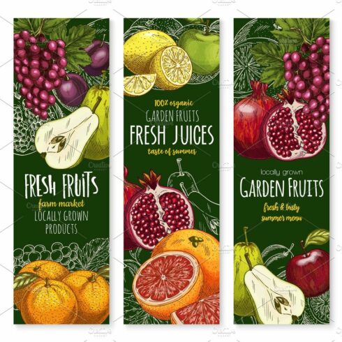 Vector sketch banners of tropical exotic fruits cover image.