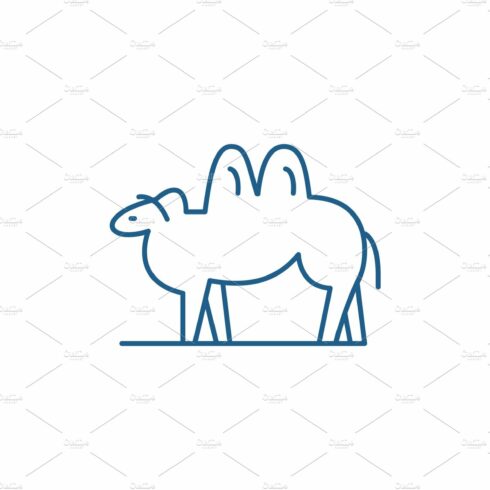 Camel line icon concept. Camel flat cover image.