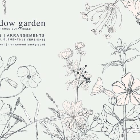 Pencil Sketched Botanical Set cover image.