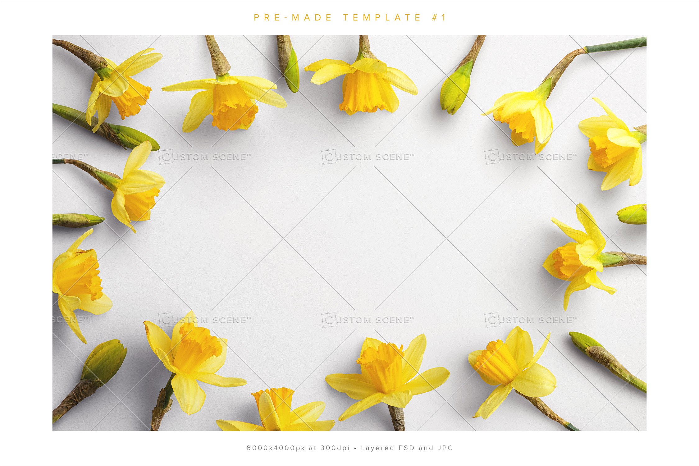 daffodils scenecreator customscene preview 1 114