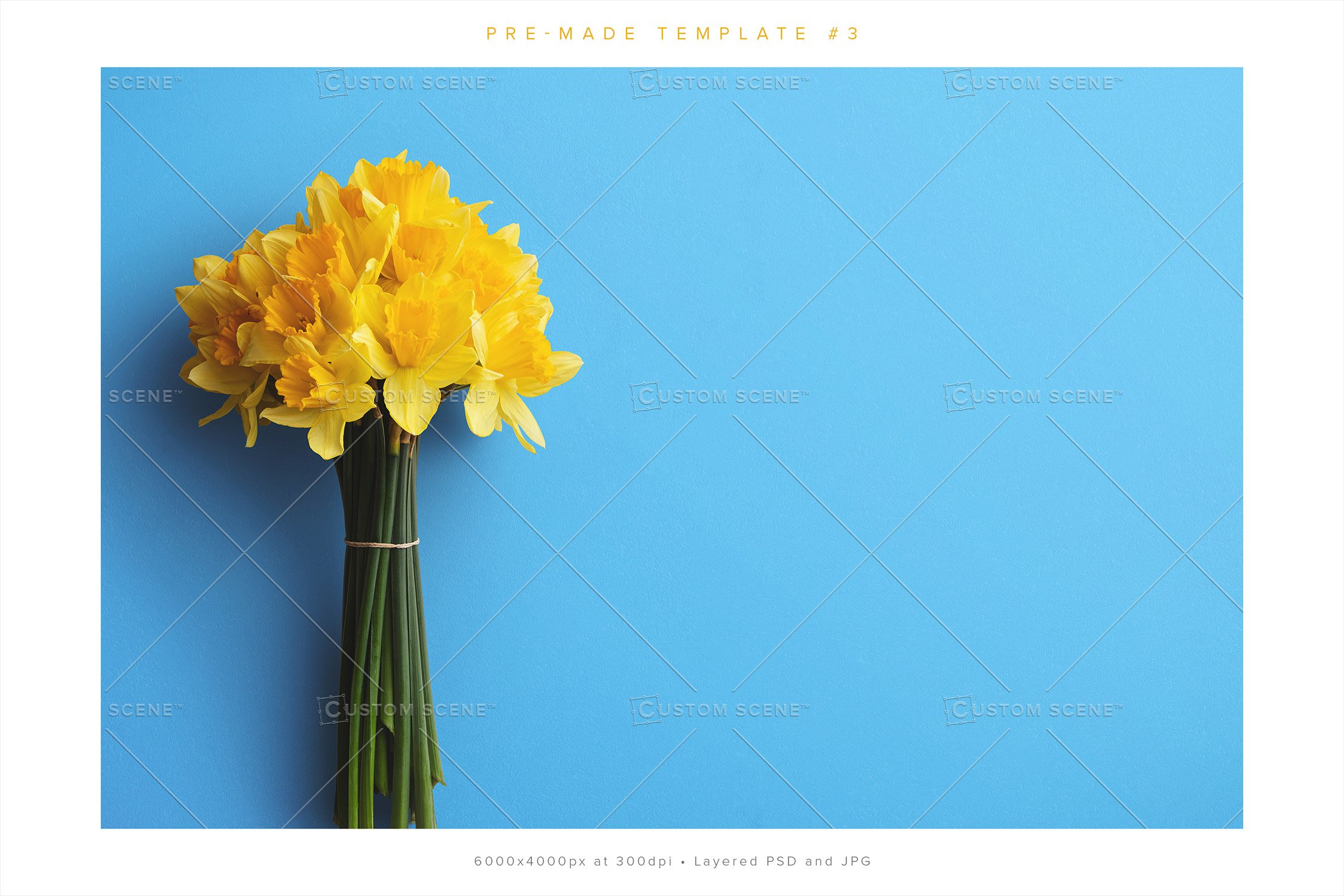 daffodils scenecreator customscene preview 3 451