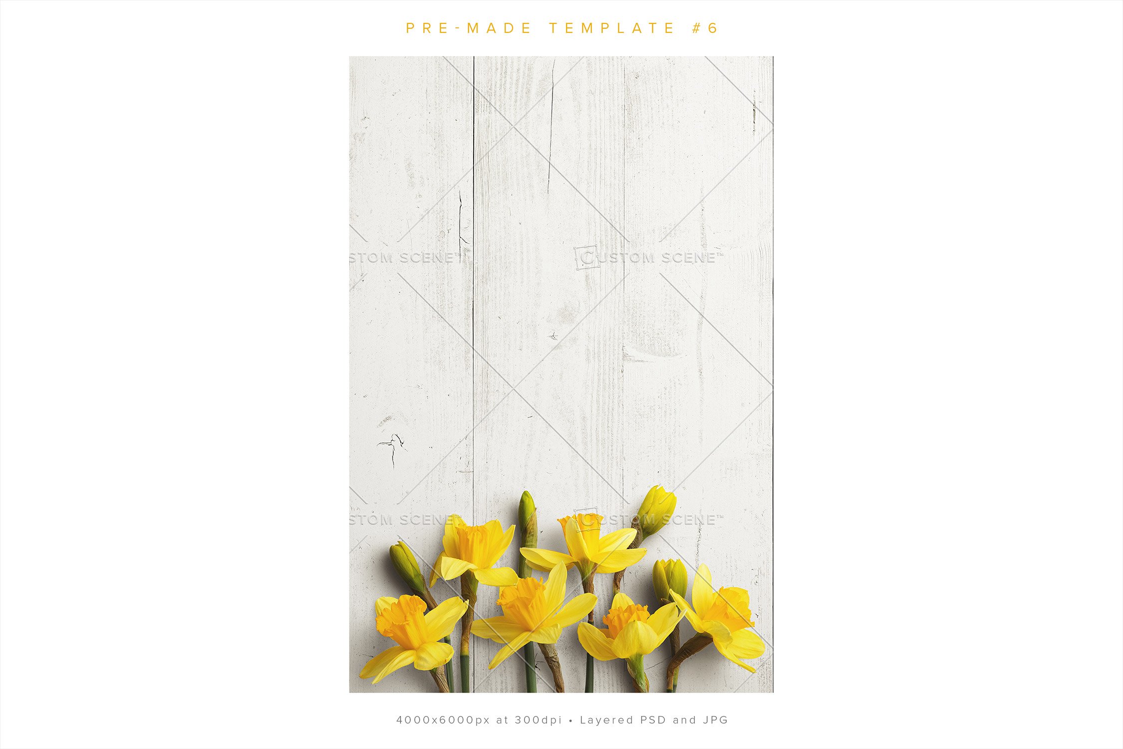 daffodils scenecreator customscene preview 6 88