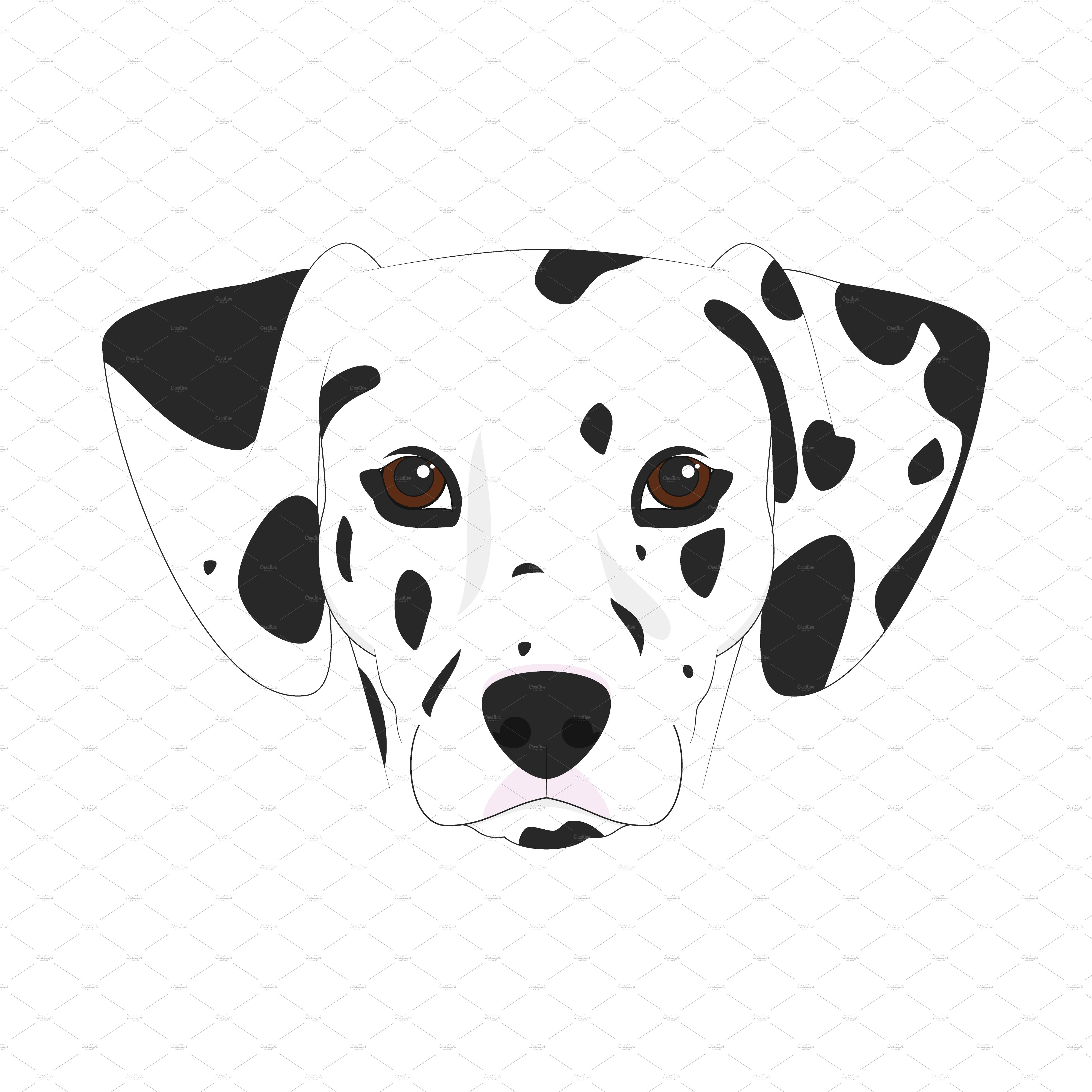 dalmatian 619