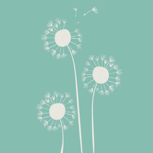 Pale dandelions and flying seeds cover image.