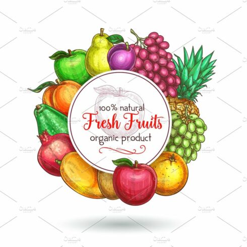 Vector exotic fresh natural fruits poster cover image.