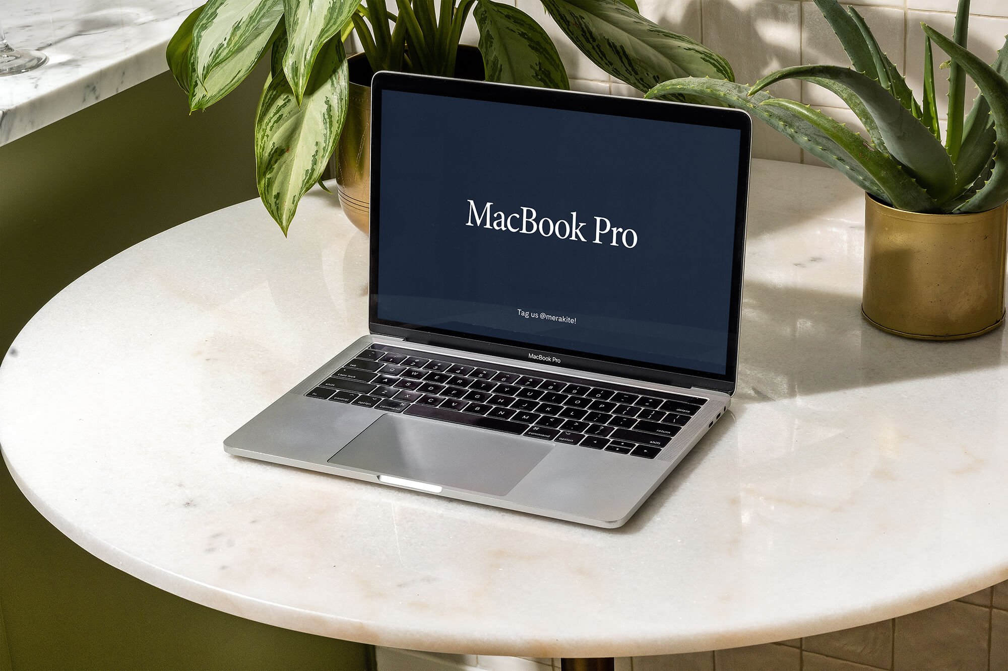 MacBook Laptop Mockup with Plants preview image.