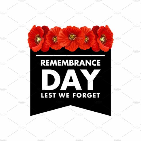 Vector for Remembrance day cover image.
