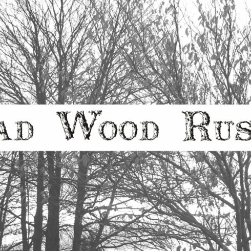 Dead Wood Rustic cover image.