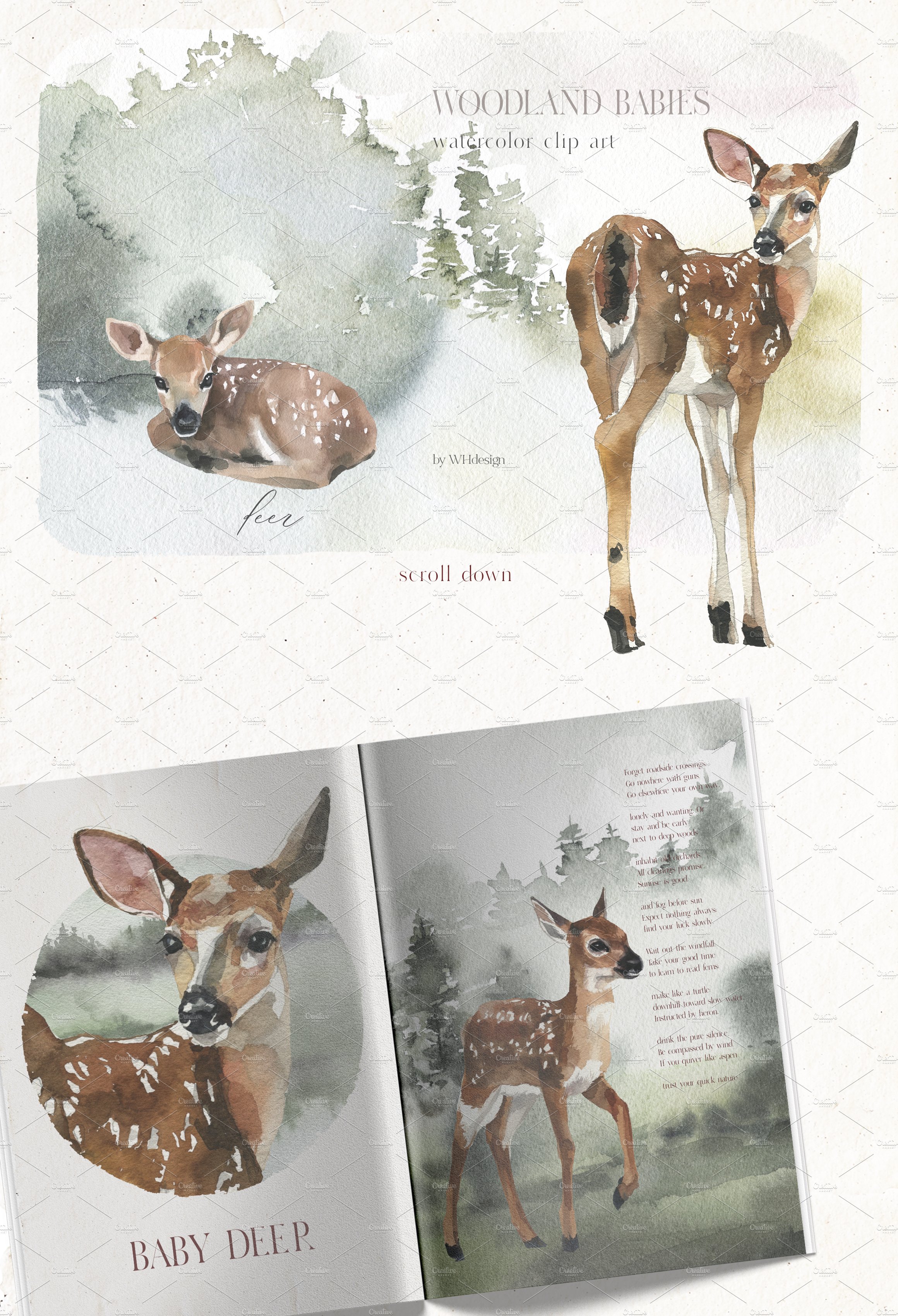 deer baby watercolor clipart 1 556