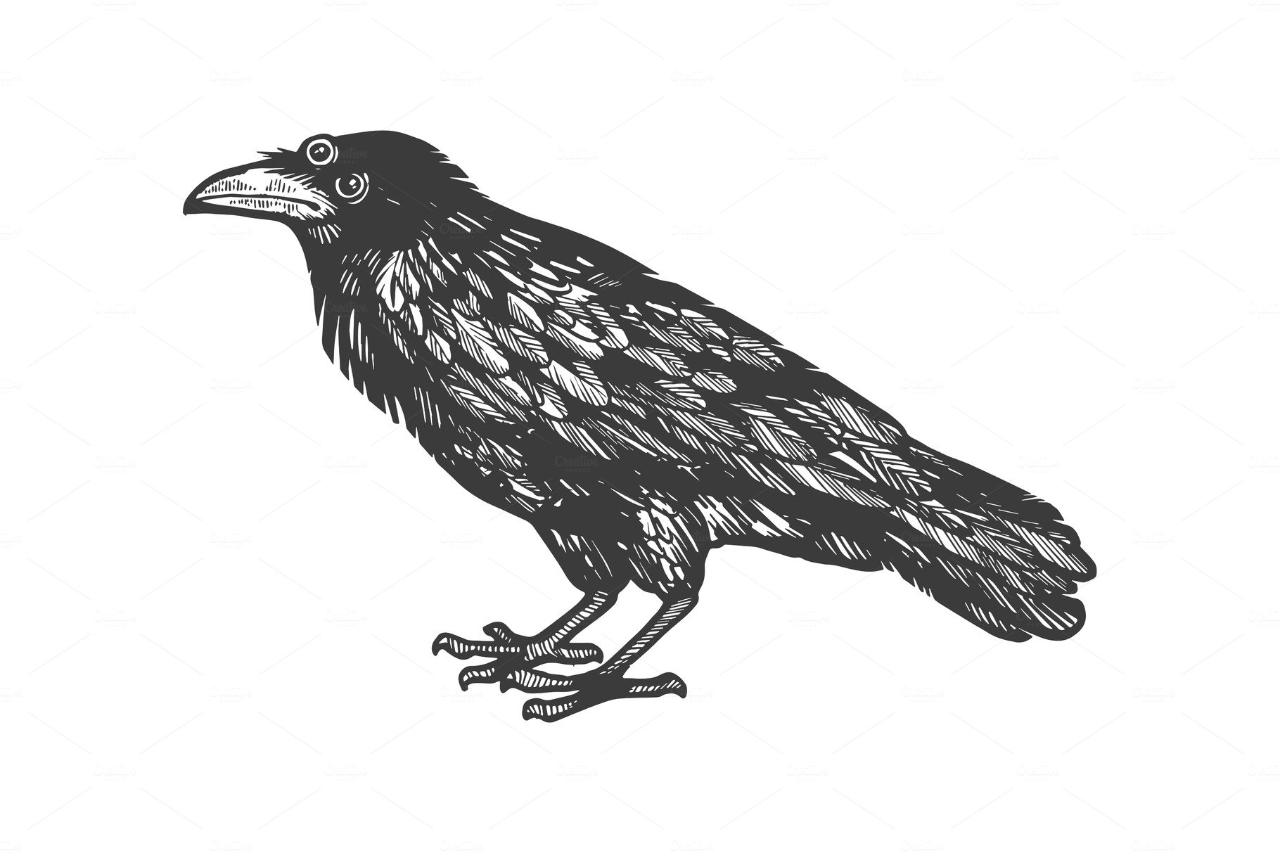 How to draw Crow step by step easy drawing for kids | Welcome to RGBpencil