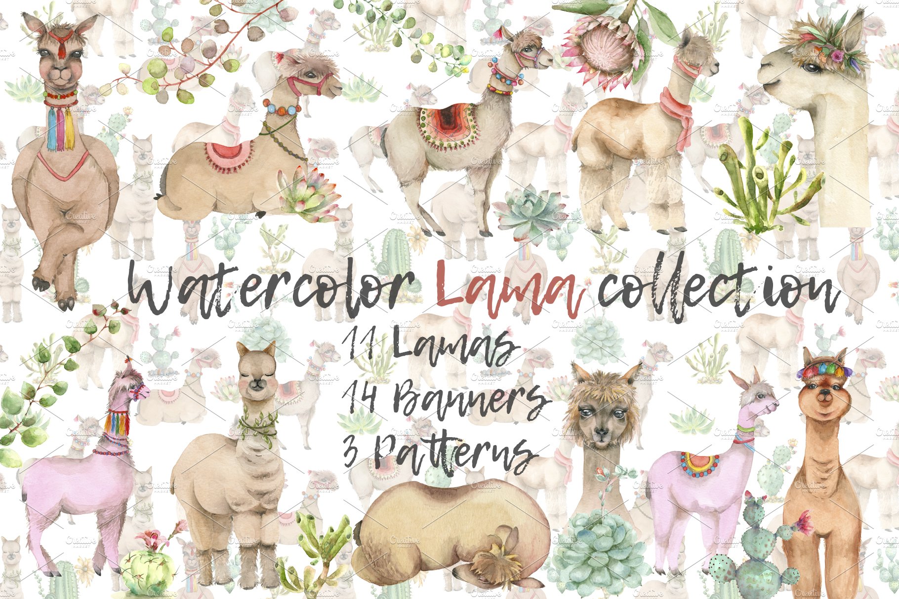 Lama in cactus collection cover image.