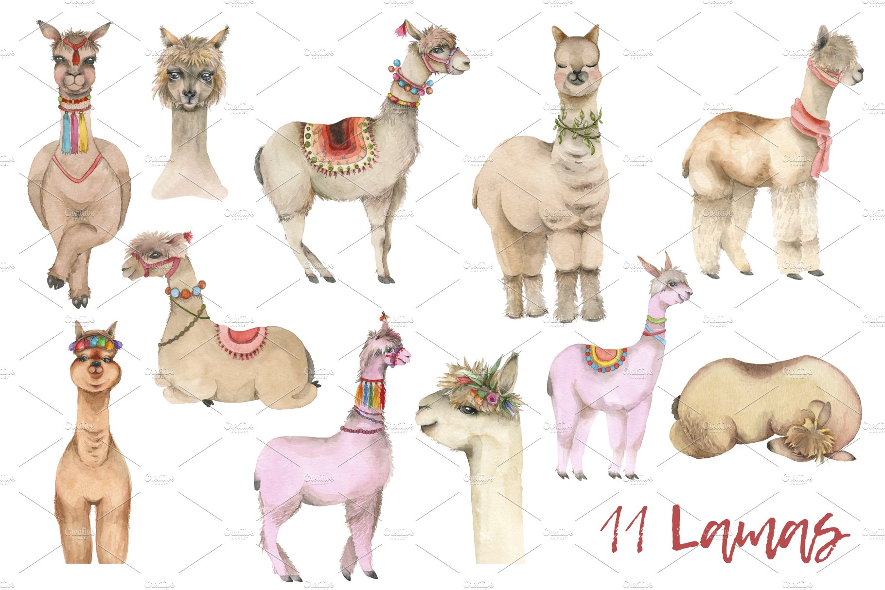 Lama in cactus collection preview image.