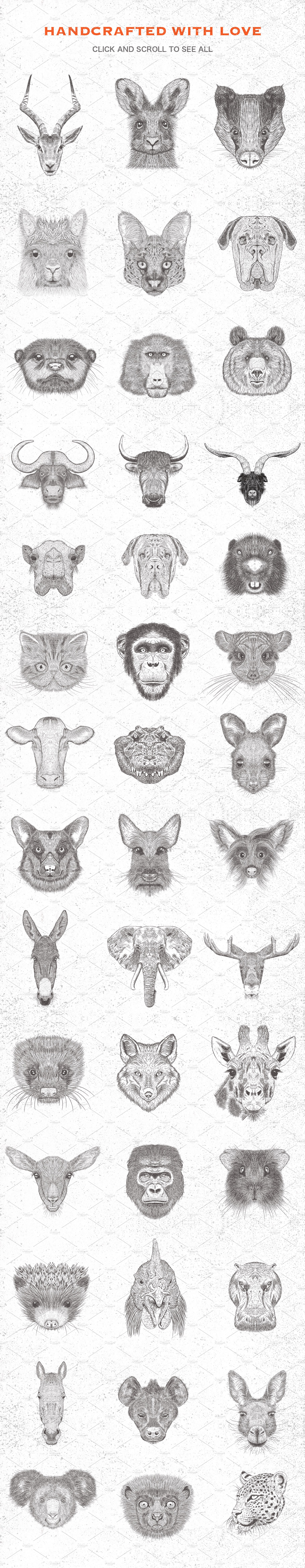 90 Animals Vintage Illustrations preview image.