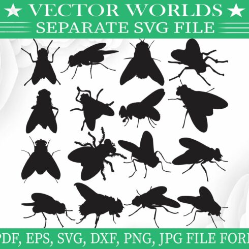 Flies Svg, Fly, Animal, Flying Svg cover image.