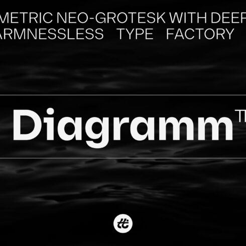 80% off - Diagramm Neo-Grotesk cover image.