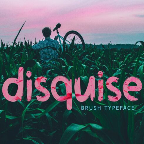 Disquise Brush Typeface cover image.