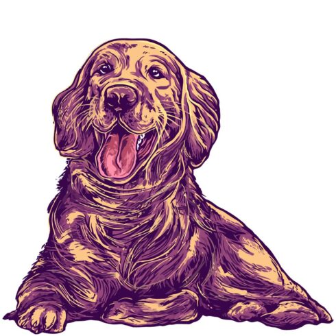 Dog cocker spaniel puppy illustration cover image.
