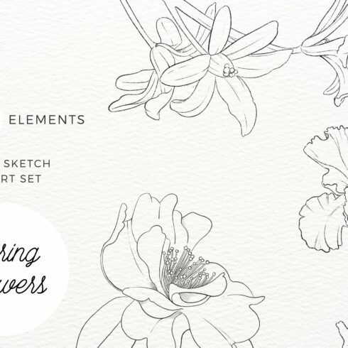 Spring Flower Pencil Art cover image.