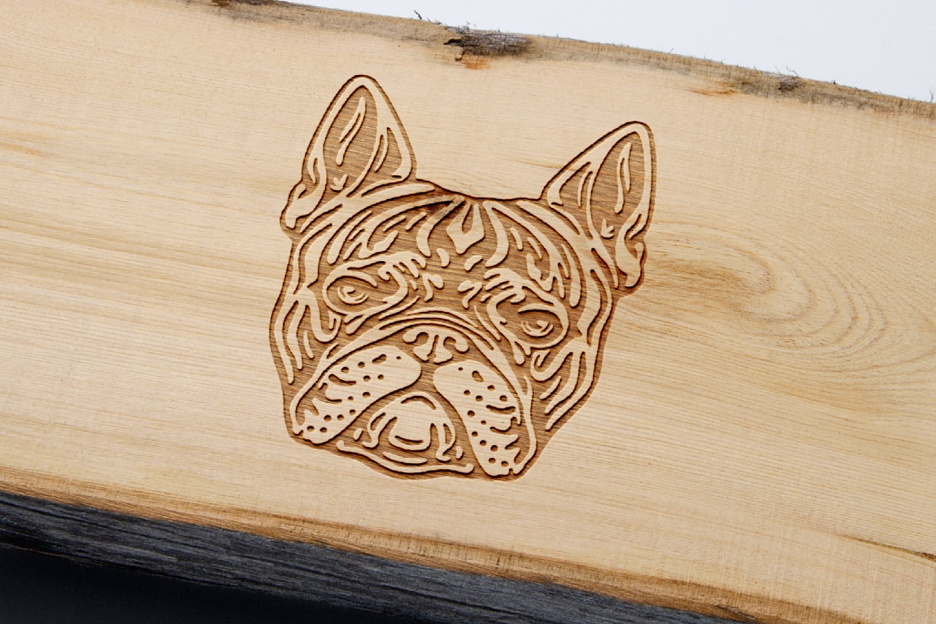 dog prtraits extras pets french bulldog woodcut 957