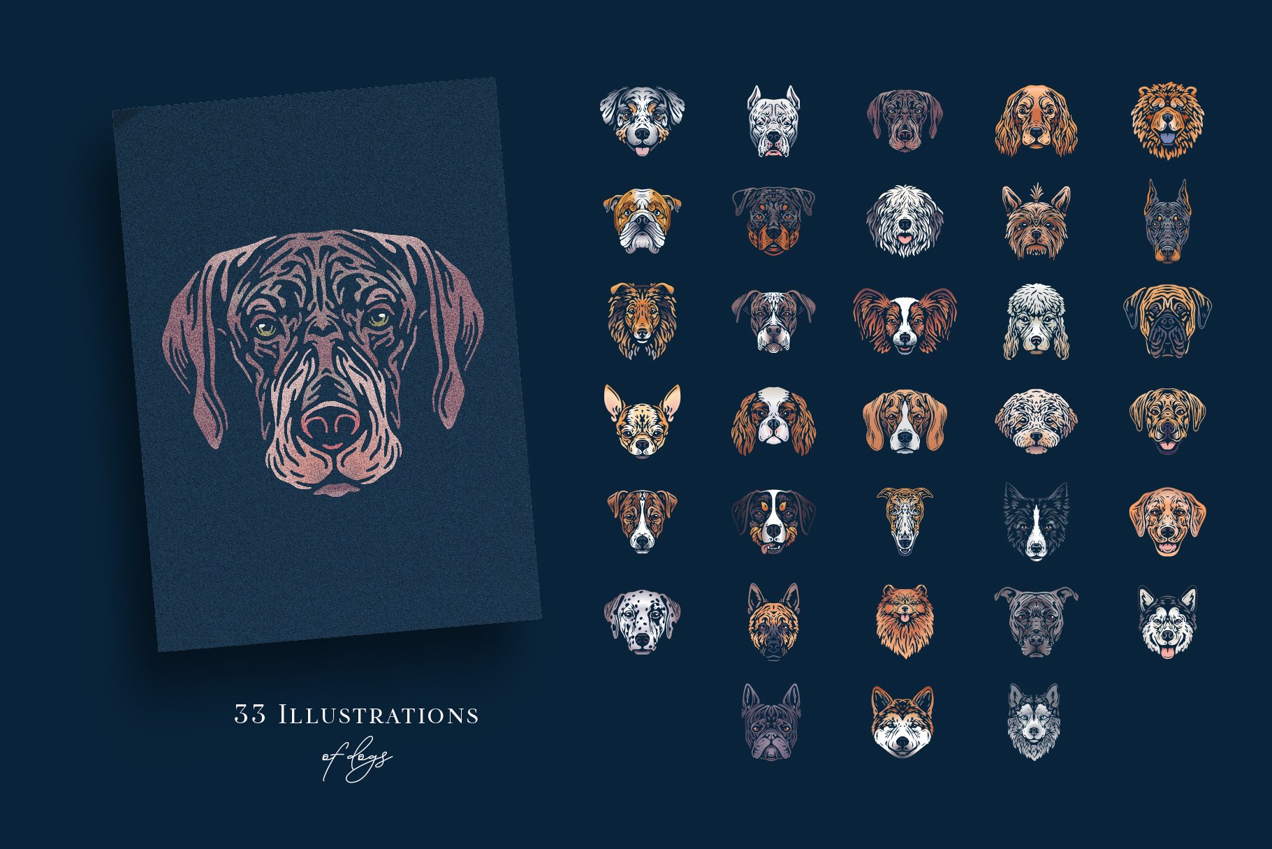 Dog Portraits & Extras preview image.