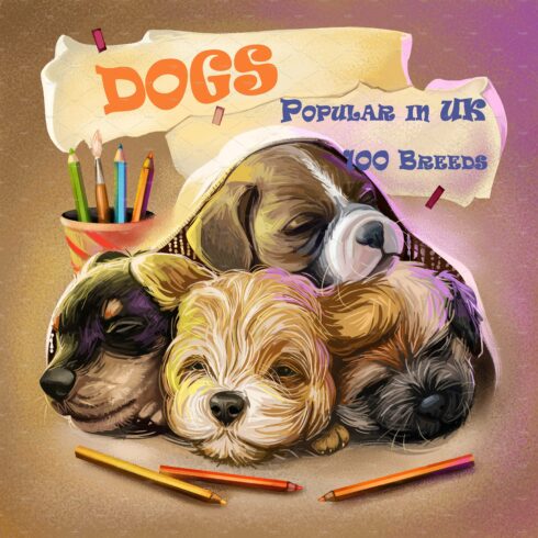 100 Dog Breeds Popular in UK cover image.