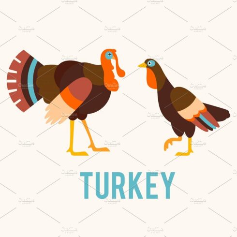 Turkeys in a flat style. cover image.