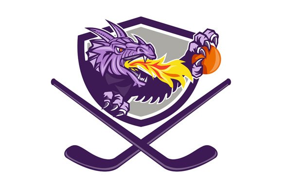 Dragon Fire Ball Hockey Stick Crest cover image.