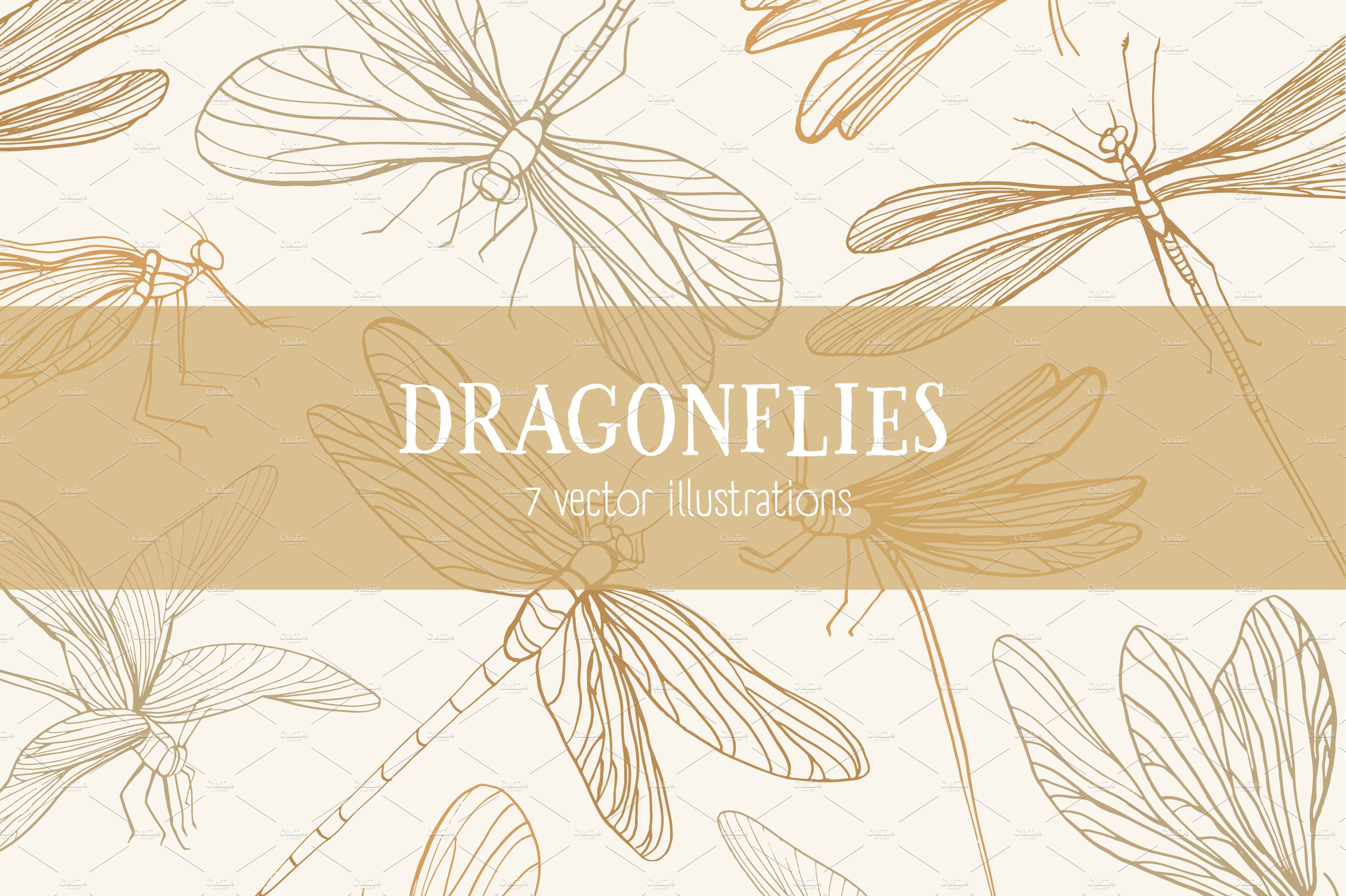 Set of 7 various dragonflies cover image.