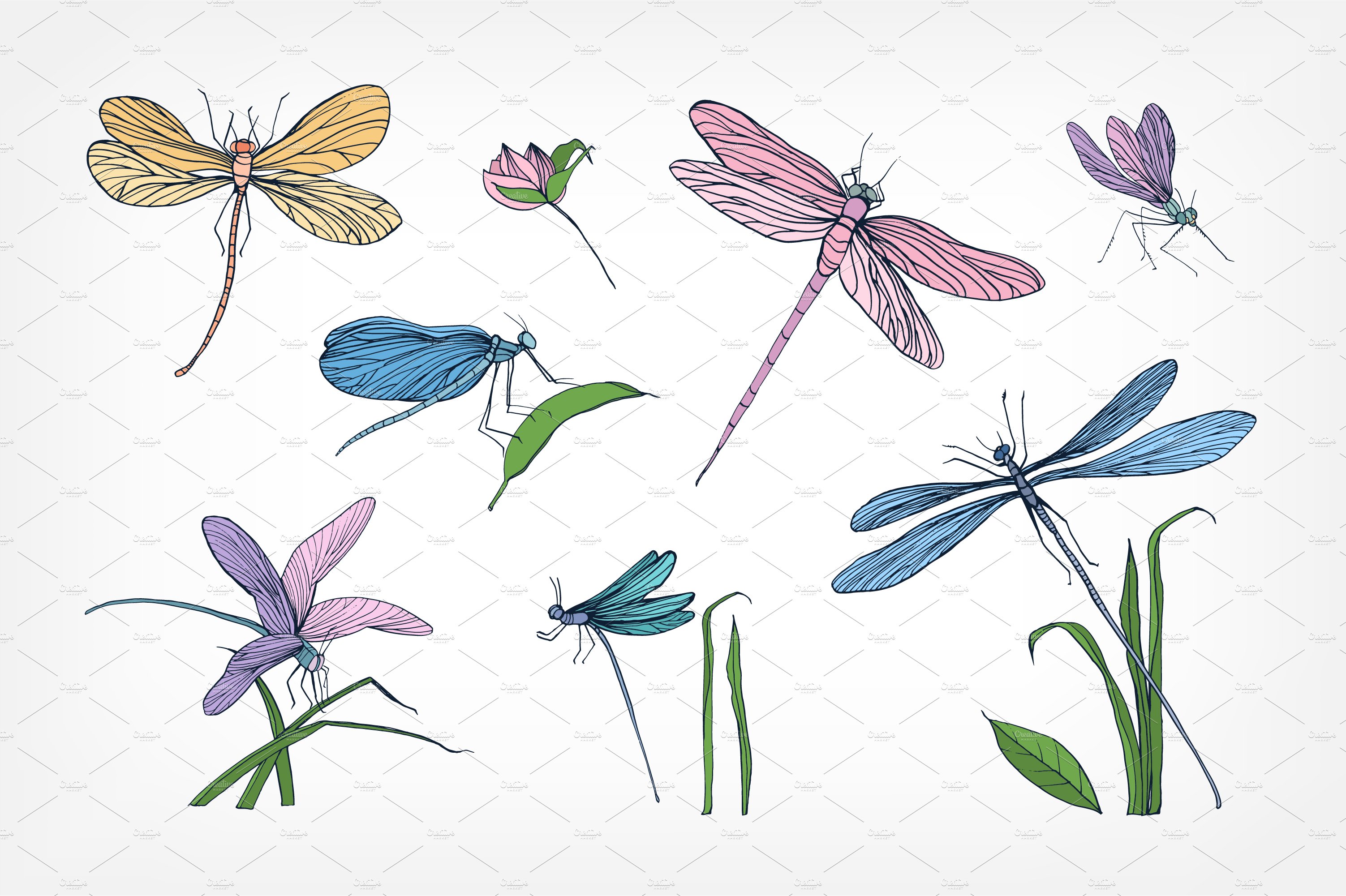 Set of 7 various dragonflies preview image.