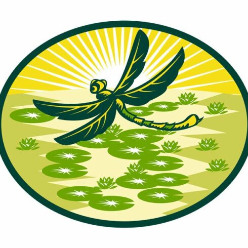 Dragonfly Flying With Lily Pads cover image.