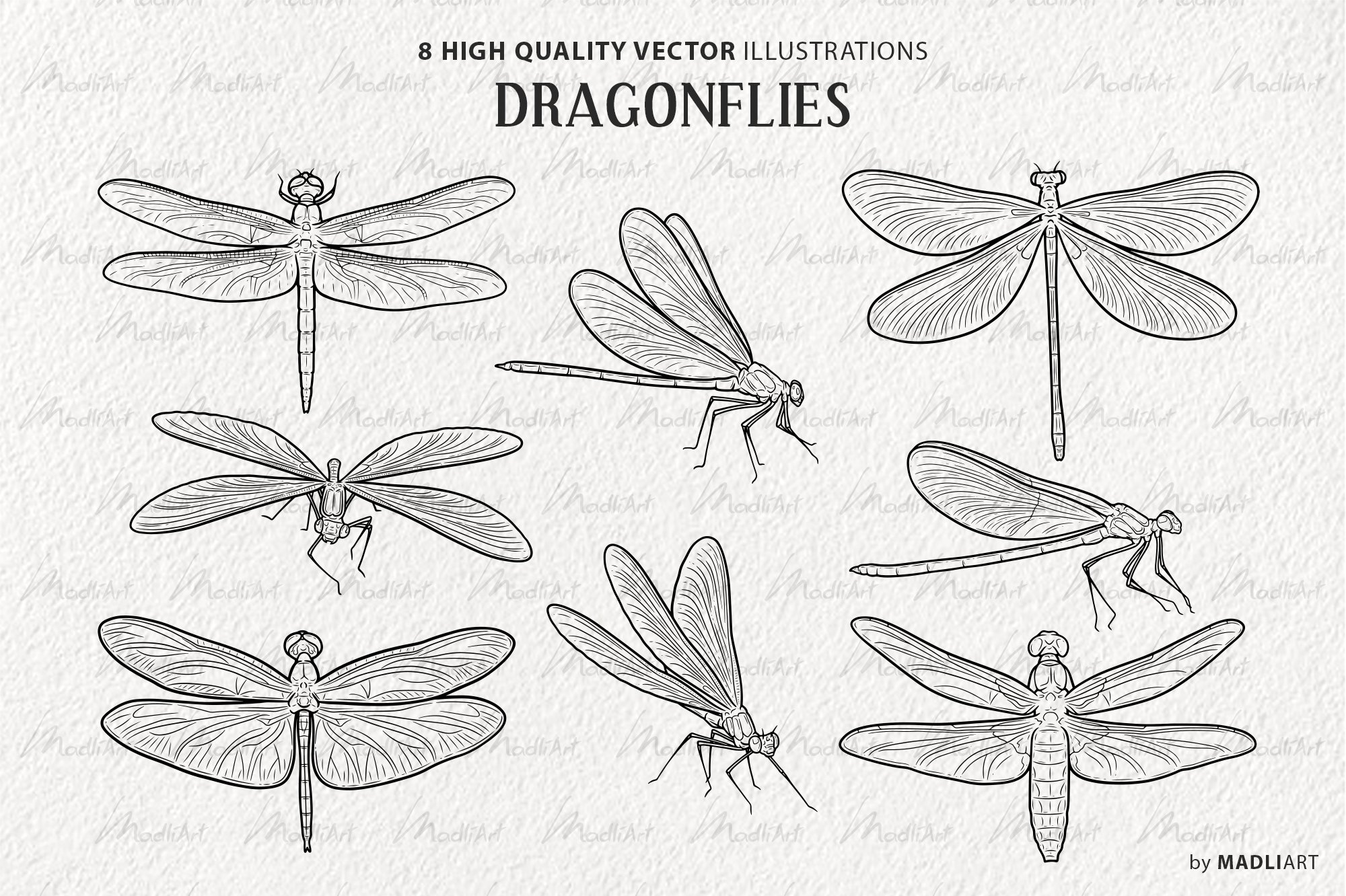 dragonfly 03 553