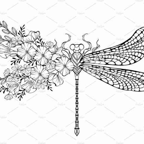 Dragonfly with contour Flowers cover image.