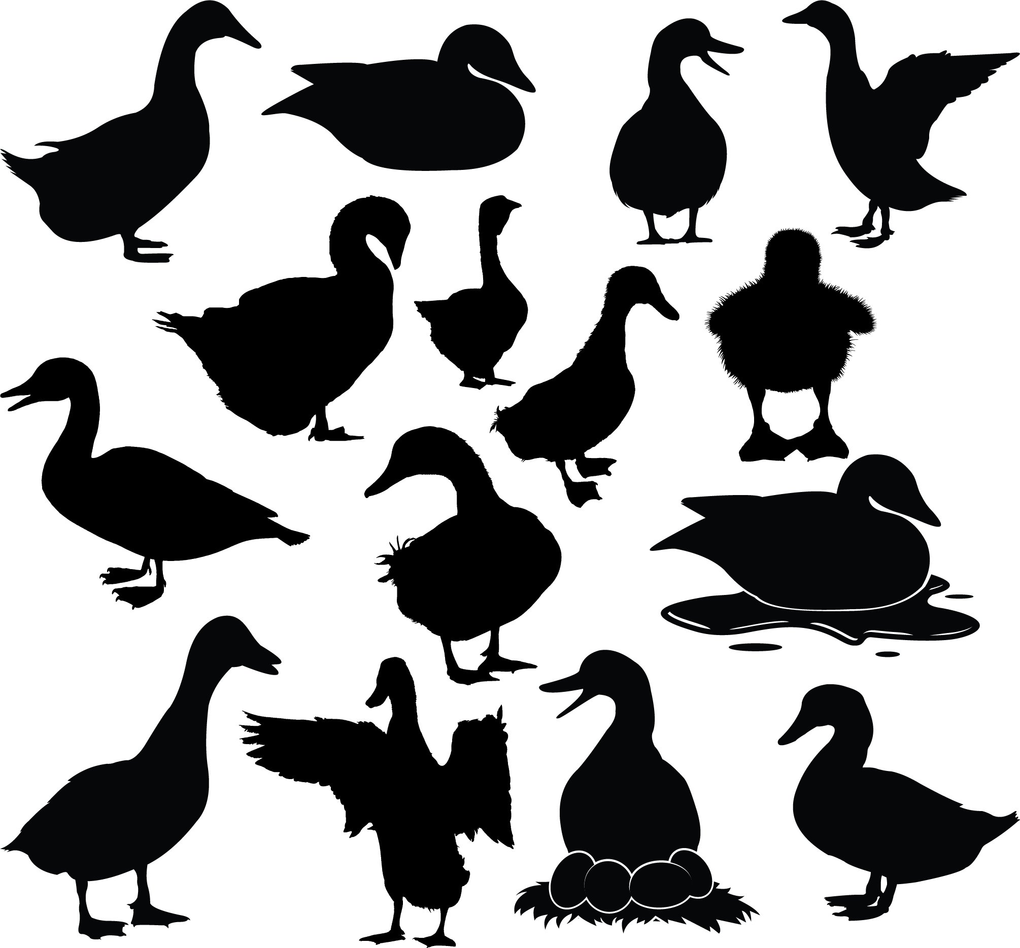 Duck Silhouette Clipart cover image.