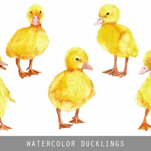 Watercolor Cute Ducklings cover image.