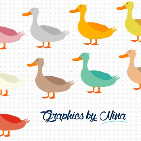 Cute colorful ducks clipart cover image.