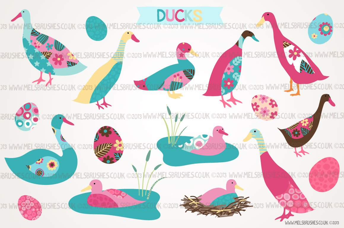 Ducks cover image.