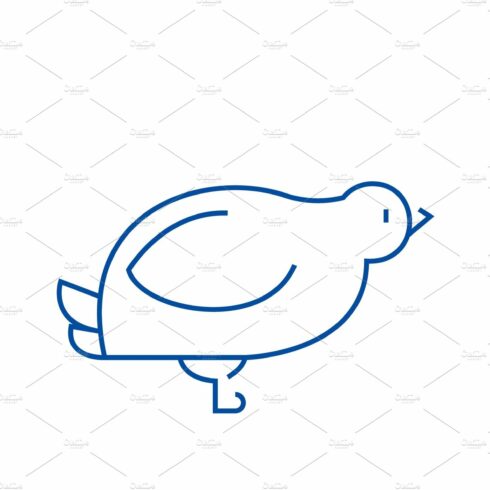 Dove,quail line icon concept. Dove cover image.