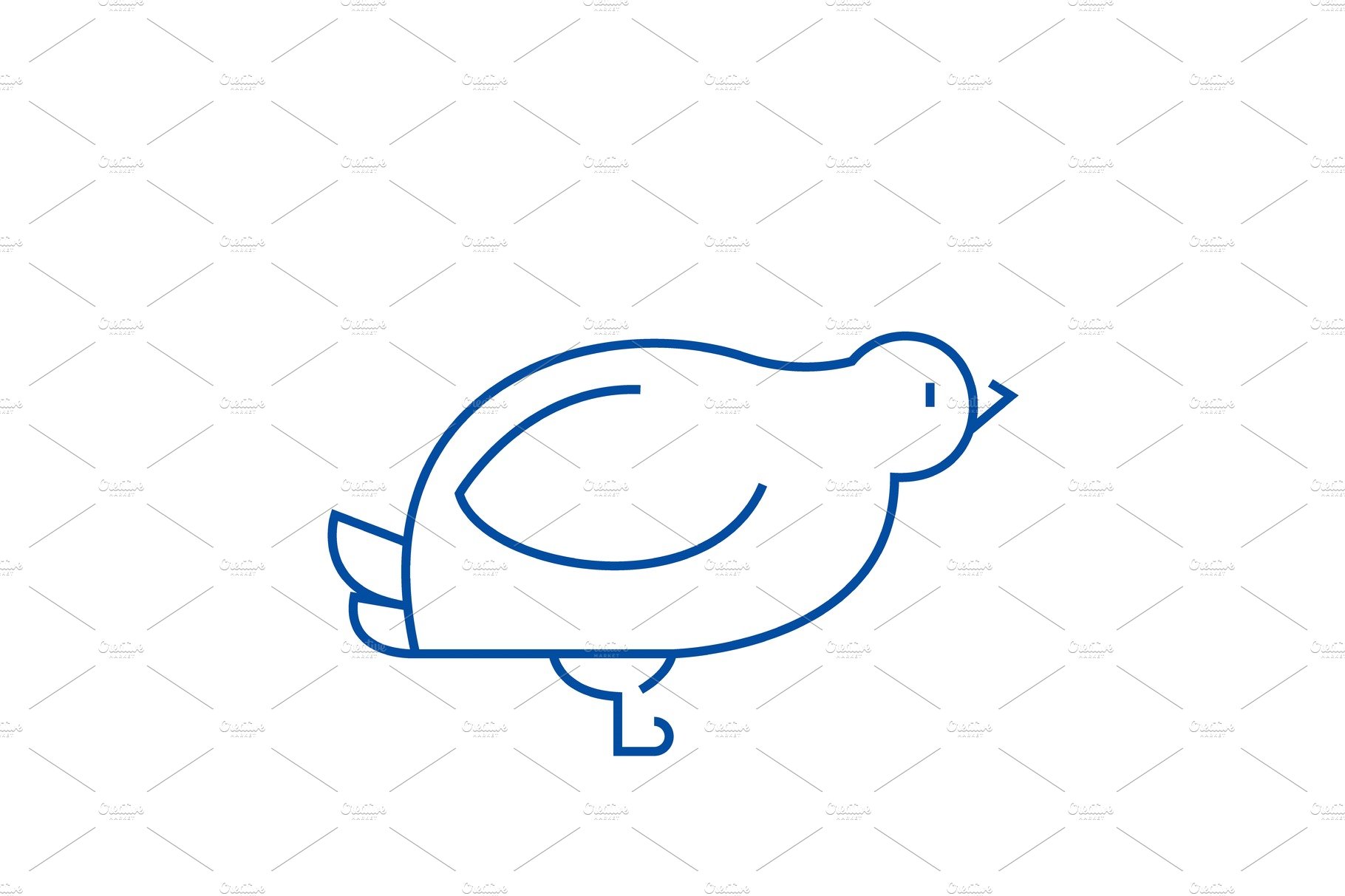 Dove,quail line icon concept. Dove cover image.