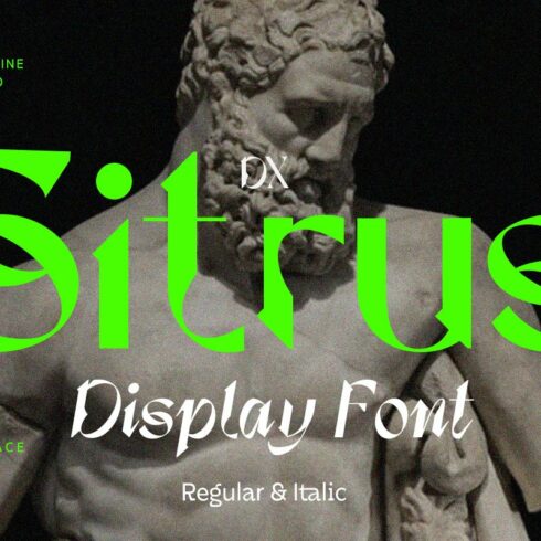Dx Sitrus - Variable Display Font cover image.
