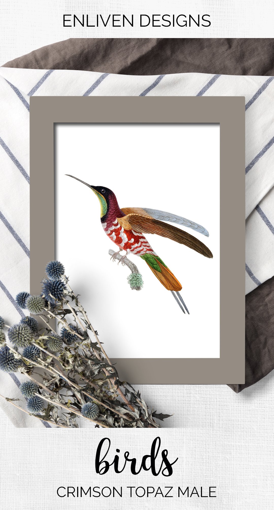 e01v01m 84561 crimson topaz male hummingbird 1 h 76
