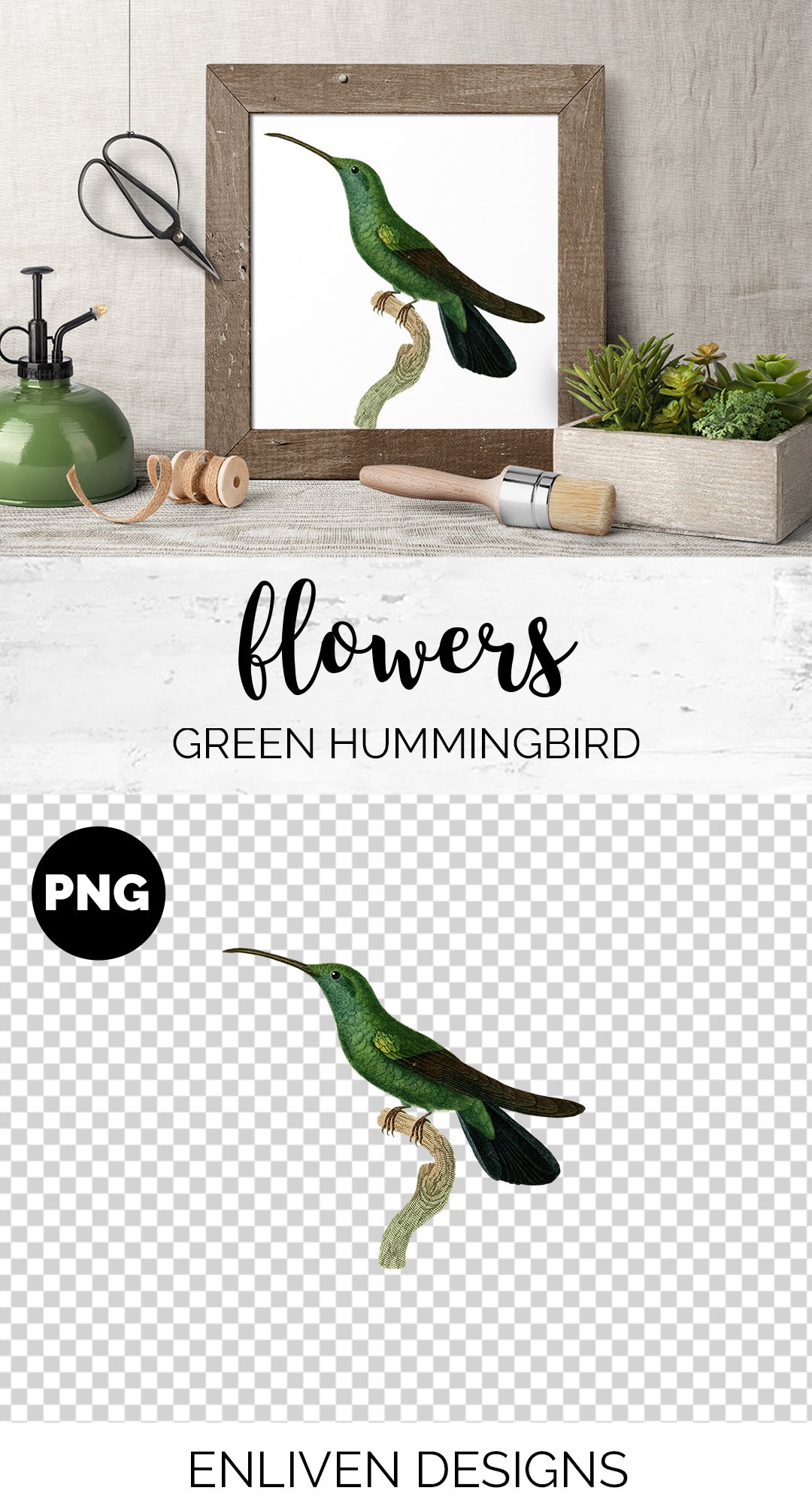 e01v01o 84561 green hummingbird b 109