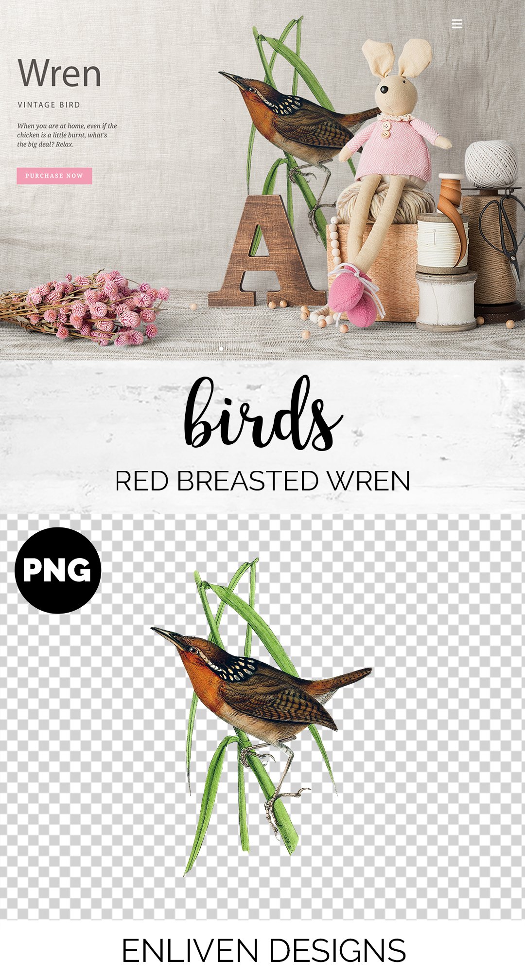 Wren Red Breasted Bird Vintage preview image.